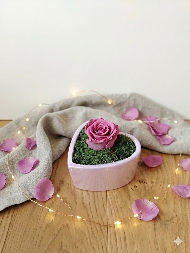 Collezione-Specchio-Rosa-Smart-Rosa-Stabilizzata
